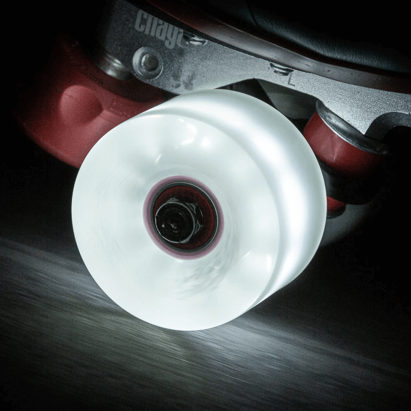 Chaya LED Neon 4-Pack