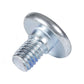 Hex Mounting Screw