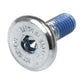 Hex Mounting Screw